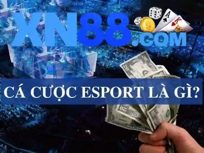 no-hu-banner