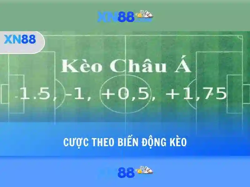 Giới thiệu về xn88