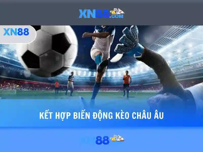 Nền tảng và sản phẩm của xn88