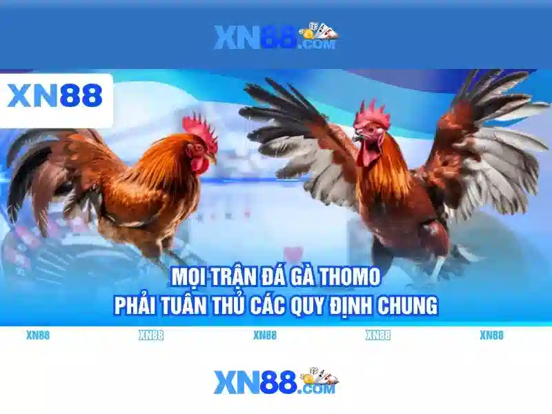xn88: Nền tảng giải trí và trò chơi trực tuyến