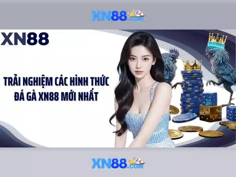 Khuyến mãi và chương trình thưởng