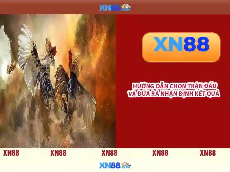 Giới thiệu về xn88