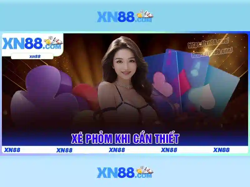 Giới thiệu về xn88