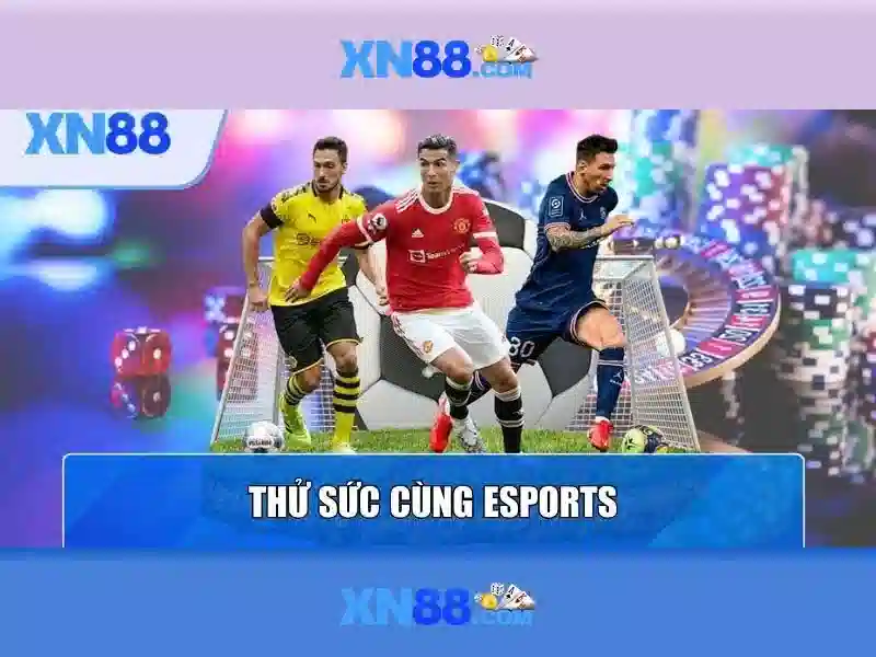 Các dịch vụ chính và tính năng