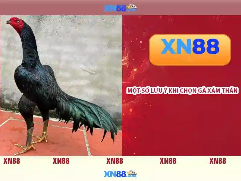 xn88: Tong quan, danh gia va huong dan an toan