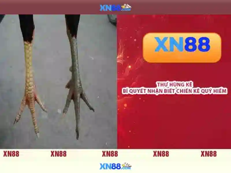 Tổng quan về xn88 - Nền tảng chơi game trực tuyến