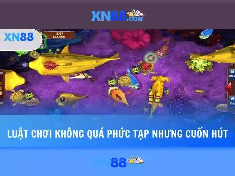 Các yếu tố nổi bật của xn88