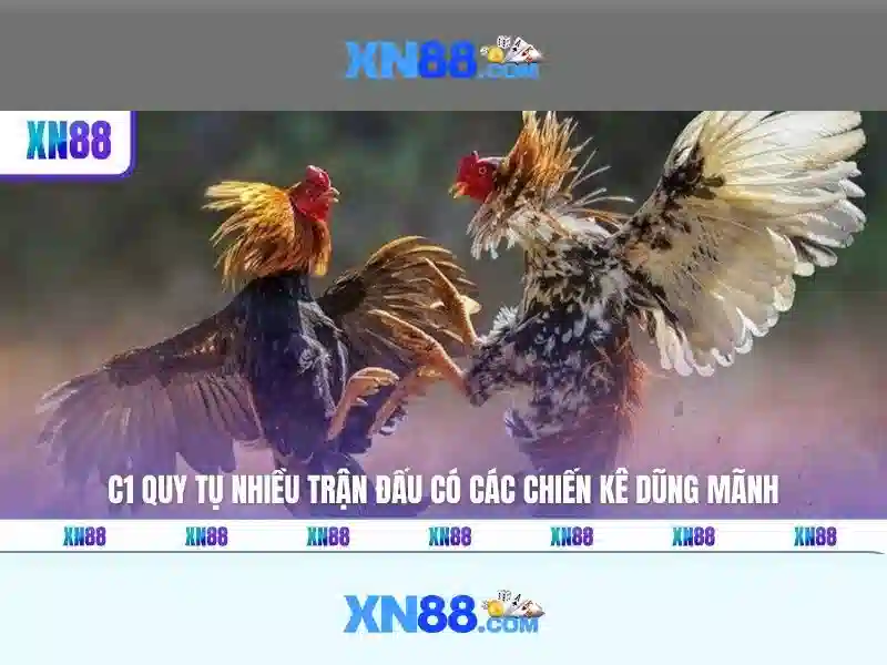 An toàn và bảo mật