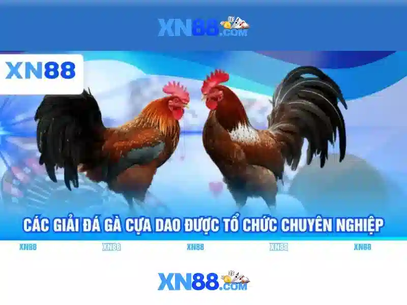 Giới thiệu về XN88