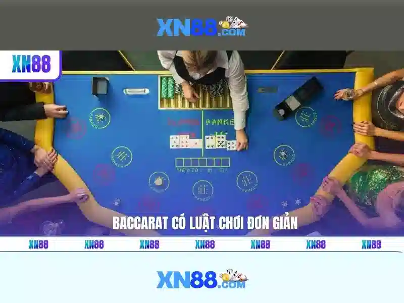 xn88: Cổng chơi cá cược trực tuyến và những điều bạn cần biết