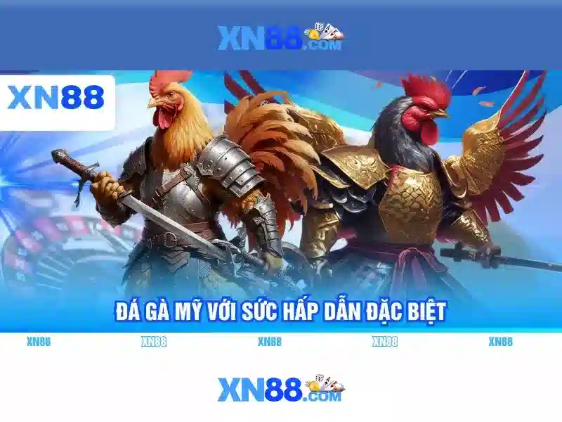 Hỗ trợ khách hàng và cơ hội nhà cái