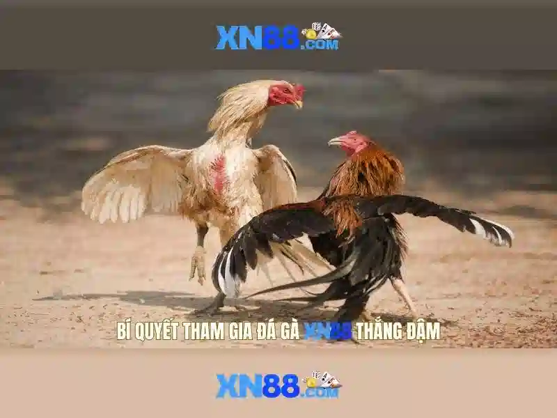 Tính năng nổi bật của xn88