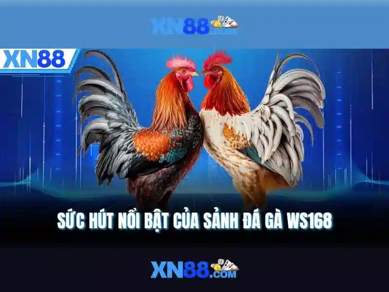 Tính năng nổi bật