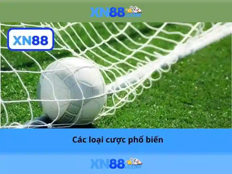 Đánh giá trải nghiệm người dùng