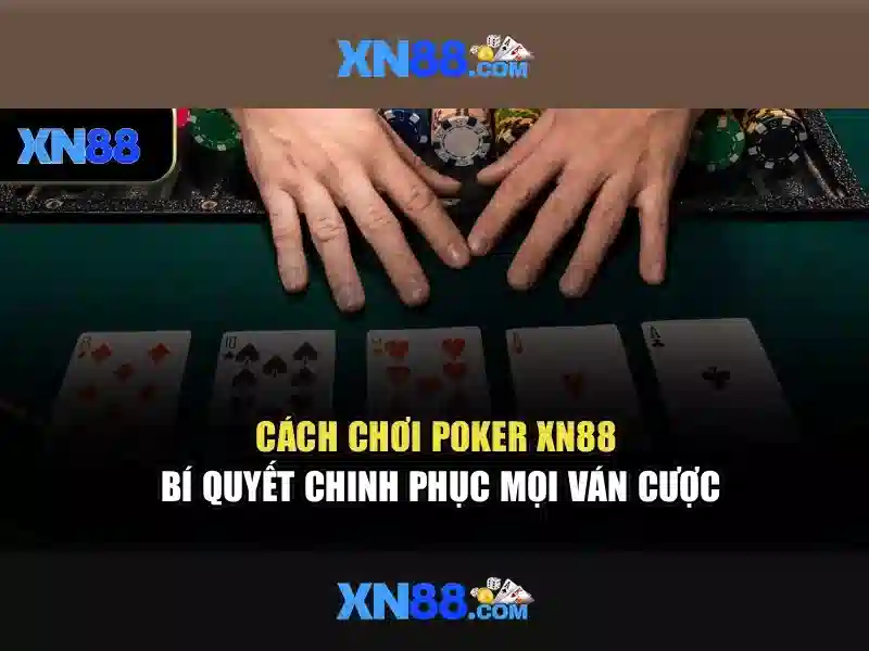 Giới thiệu về xn88