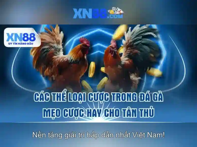 Tính năng nổi bật