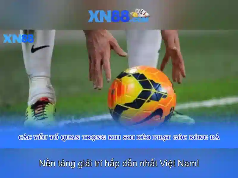 Hỗ trợ người dùng và cộng đồng