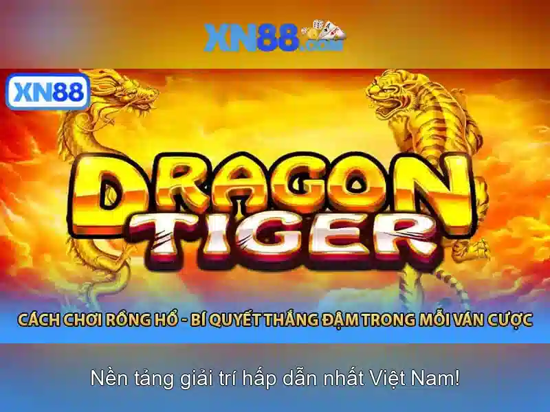 Nền tảng và giao diện