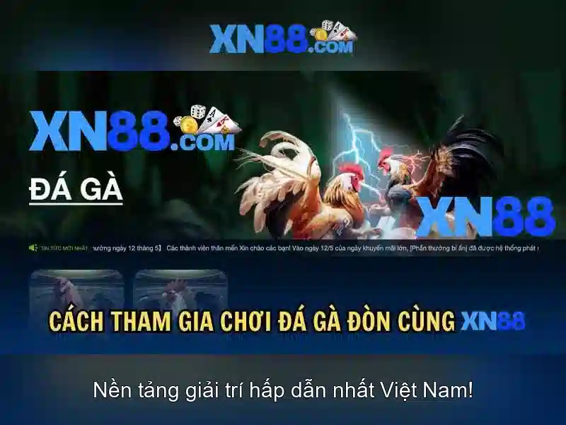 Lịch sử và nguồn gốc