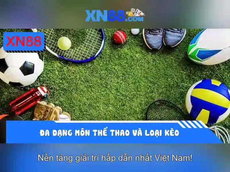 Giao diện thân thiện và tối ưu cho di động