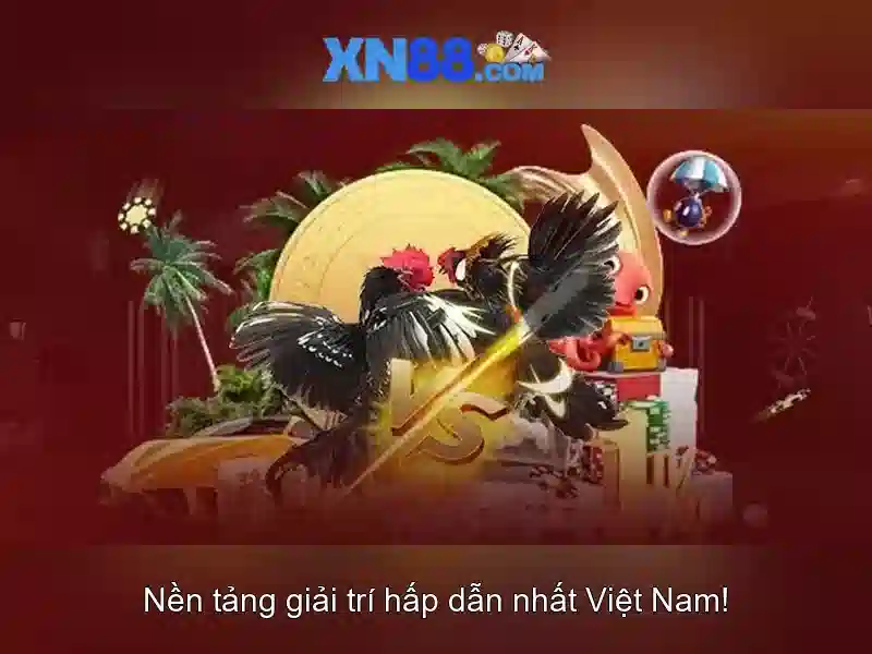 XN88 – Tổng quan về nền tảng cá cược trực tuyến