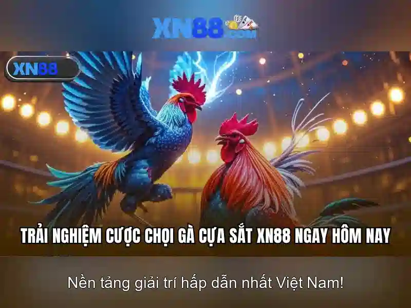 xn88: Tổng quan và hướng dẫn khởi đầu
