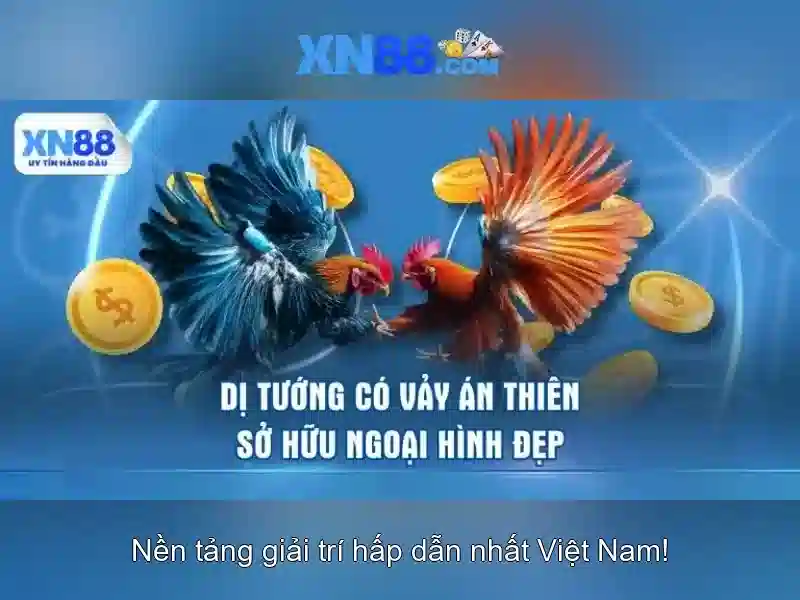 Nền tảng và dịch vụ