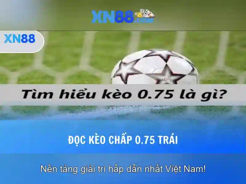 Kiem soat camxuc