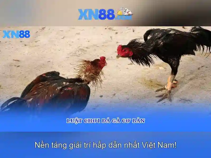 An toàn và pháp lý