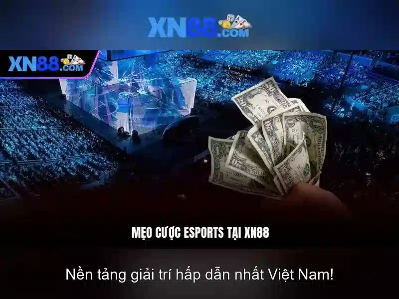 XN88: Tổng quan và nhận định