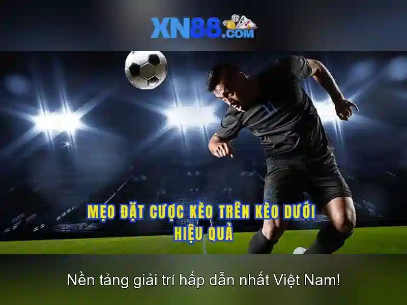 Nền tảng và tính năng nổi bật