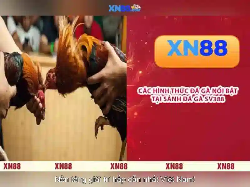 An toàn và cam kết