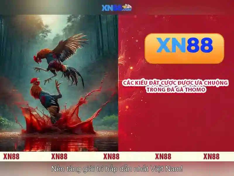 Tính năng nổi bật