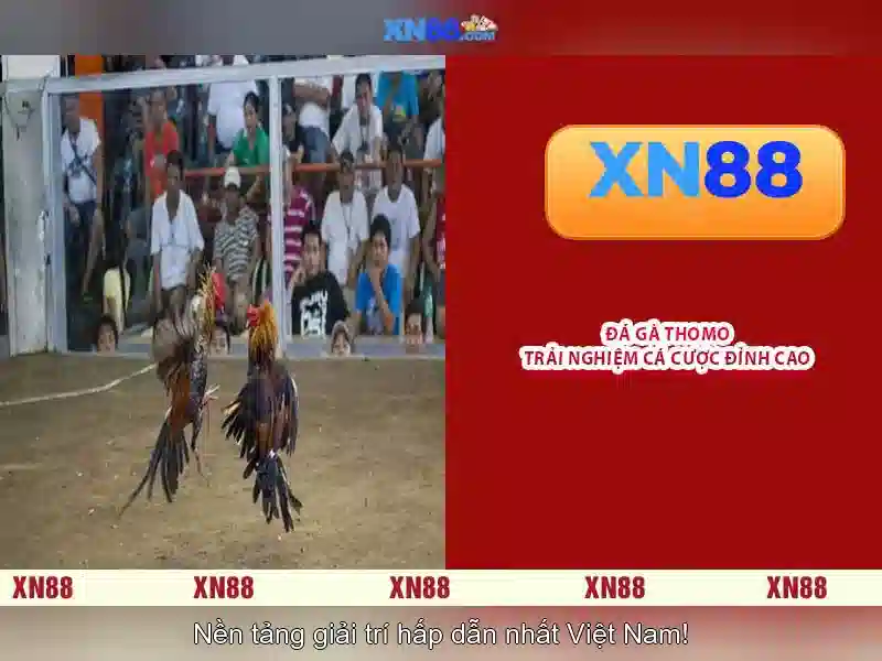 xn88: Khám phá nền tảng xổ số và trò chơi trực tuyến