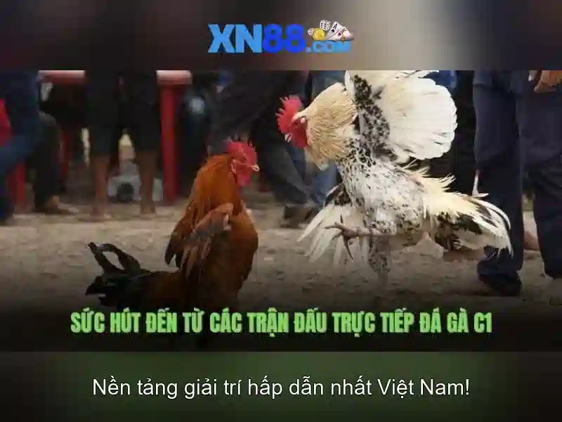 Khám phá xn88 nền tảng trò chơi trực tuyến