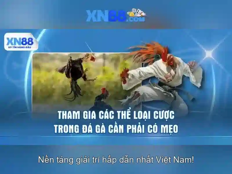 xn88 là gì? một cái nhìn tổng quan về nền tảng giải trí trực tuyến