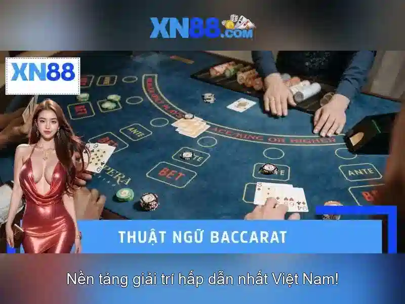 Các tính năng nổi bật