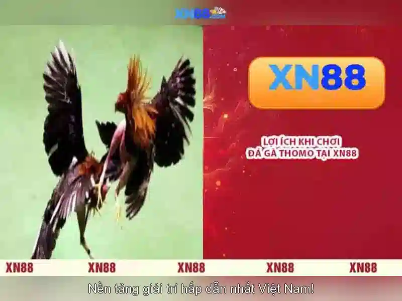 Gợi ý trải nghiệm an toàn