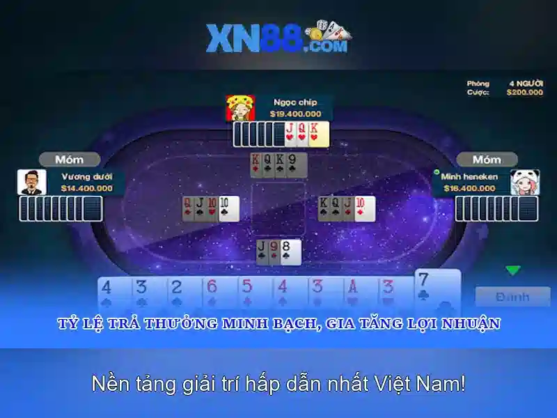 Khuyến mãi và hỗ trợ khách hàng