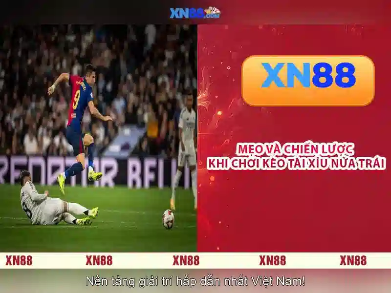 Tương tác với xn88
