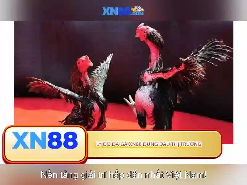 Các trò chơi và chức năng