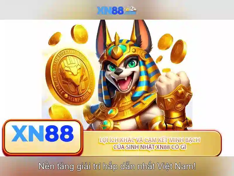 Nền tảng và sản phẩm