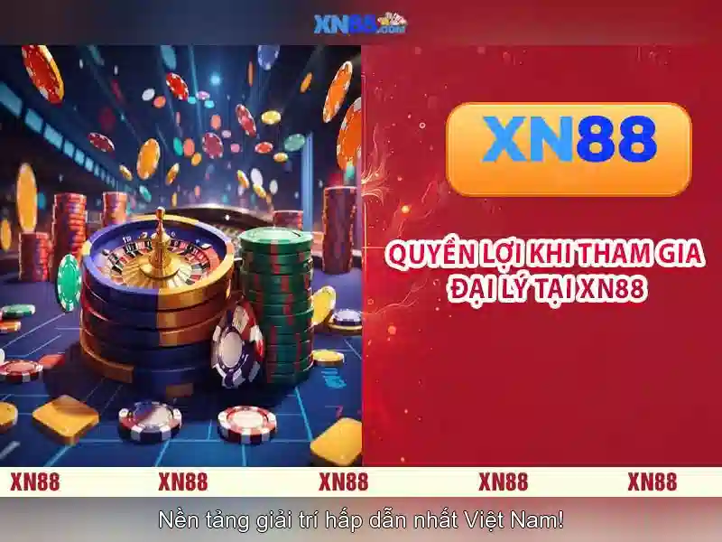 Lời kết và suy nghĩ cuối cùng