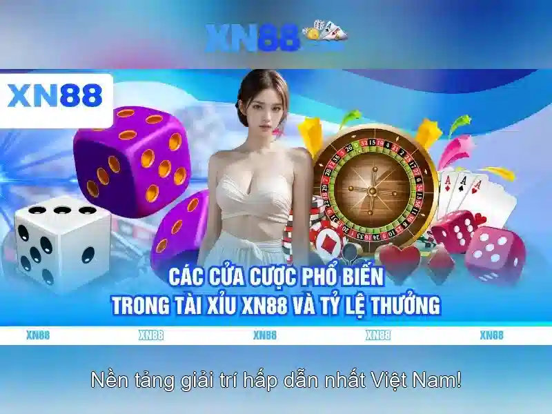 An toàn và bản quyền