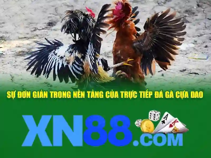 Nền tảng và mục tiêu của xn88